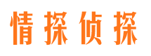 湘西侦探公司